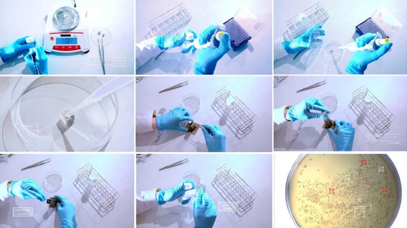 PROBIOTIC DESIGN: ÁP DỤNG MEN VI SINH VÀO KIẾN TRÚC (4)